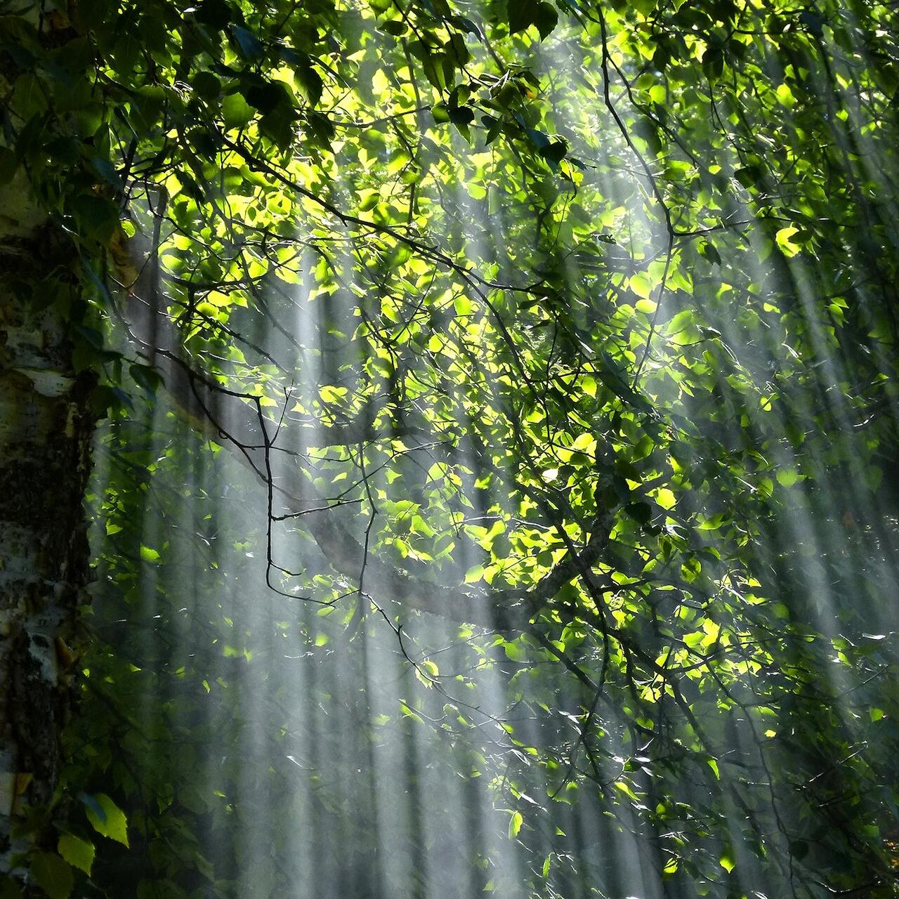 Lumen in Unreal Engine 5: Real-Time Lighting Explained